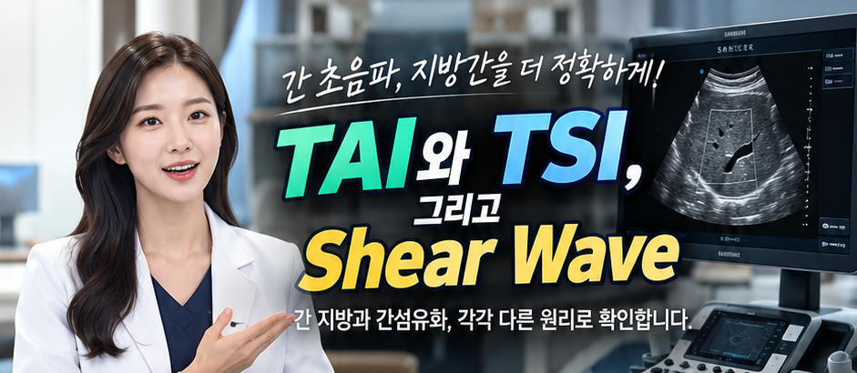 지방간검사 TAI 와 간섬유화 검사 안내